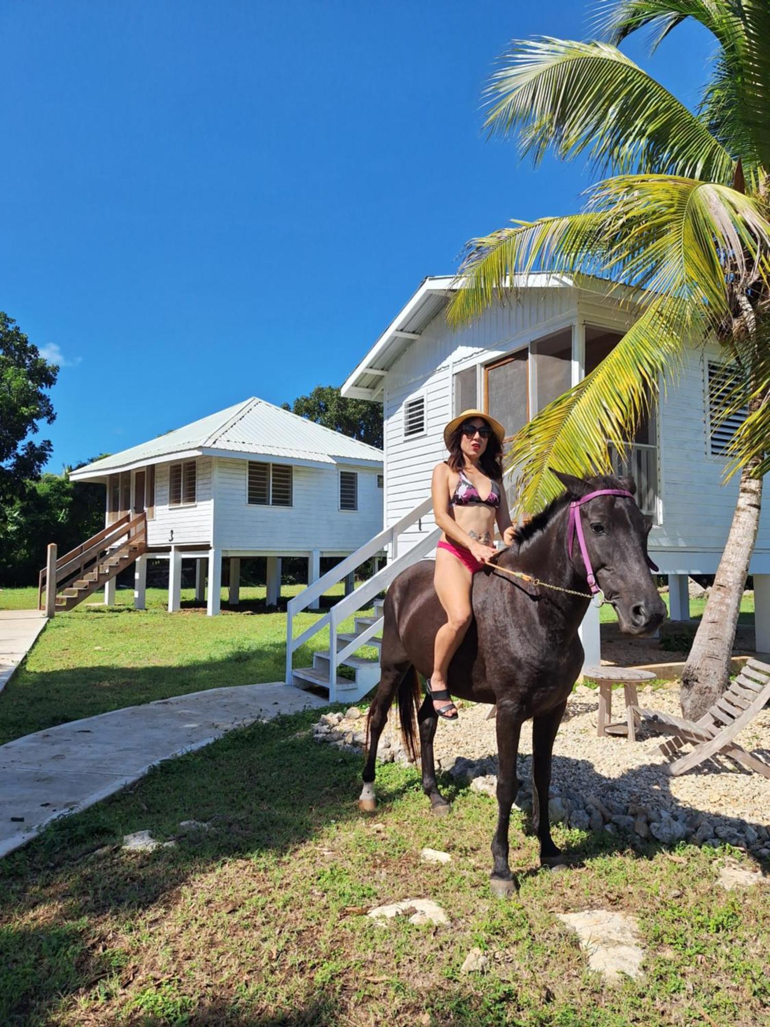 Horse Cottage Sarteneja Extérieur photo
