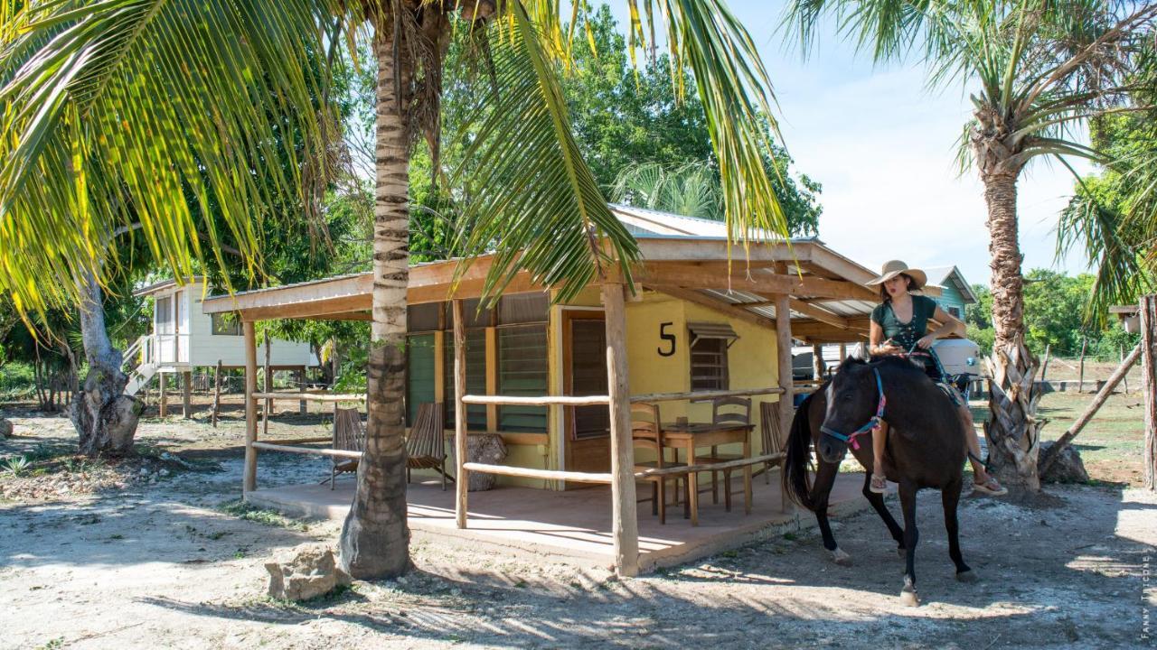 Horse Cottage Sarteneja Extérieur photo