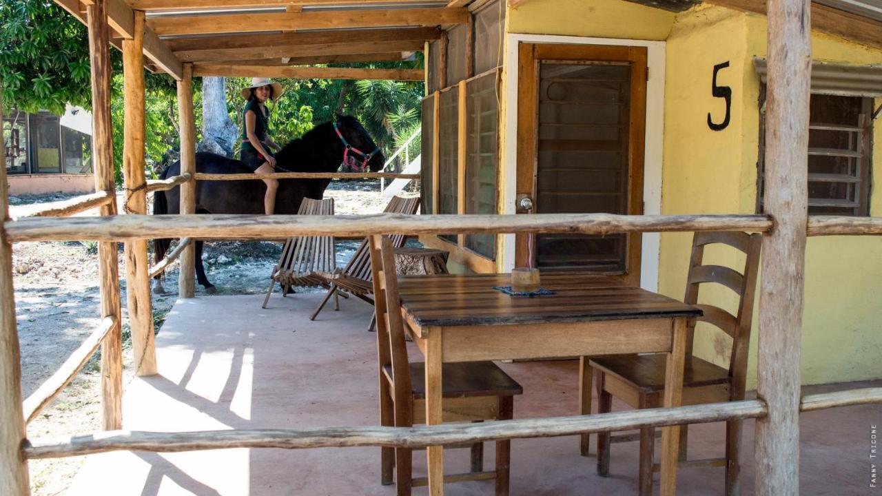 Horse Cottage Sarteneja Extérieur photo